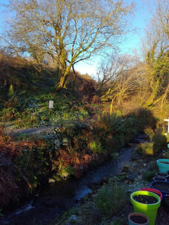 Drimoleague Streamside B And B With Parking מראה חיצוני תמונה